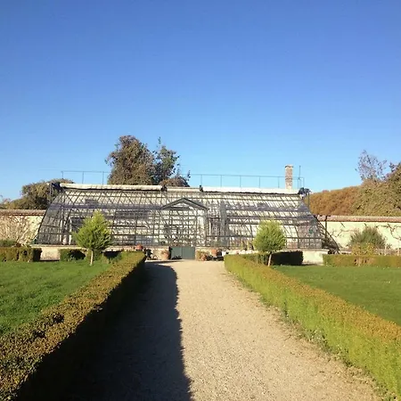Vintage Castle In With Swimming Pool Ocquerre